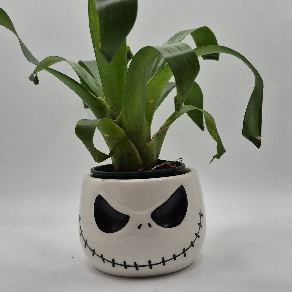 Jack Skellington Planter FREE WITH PURCHASE